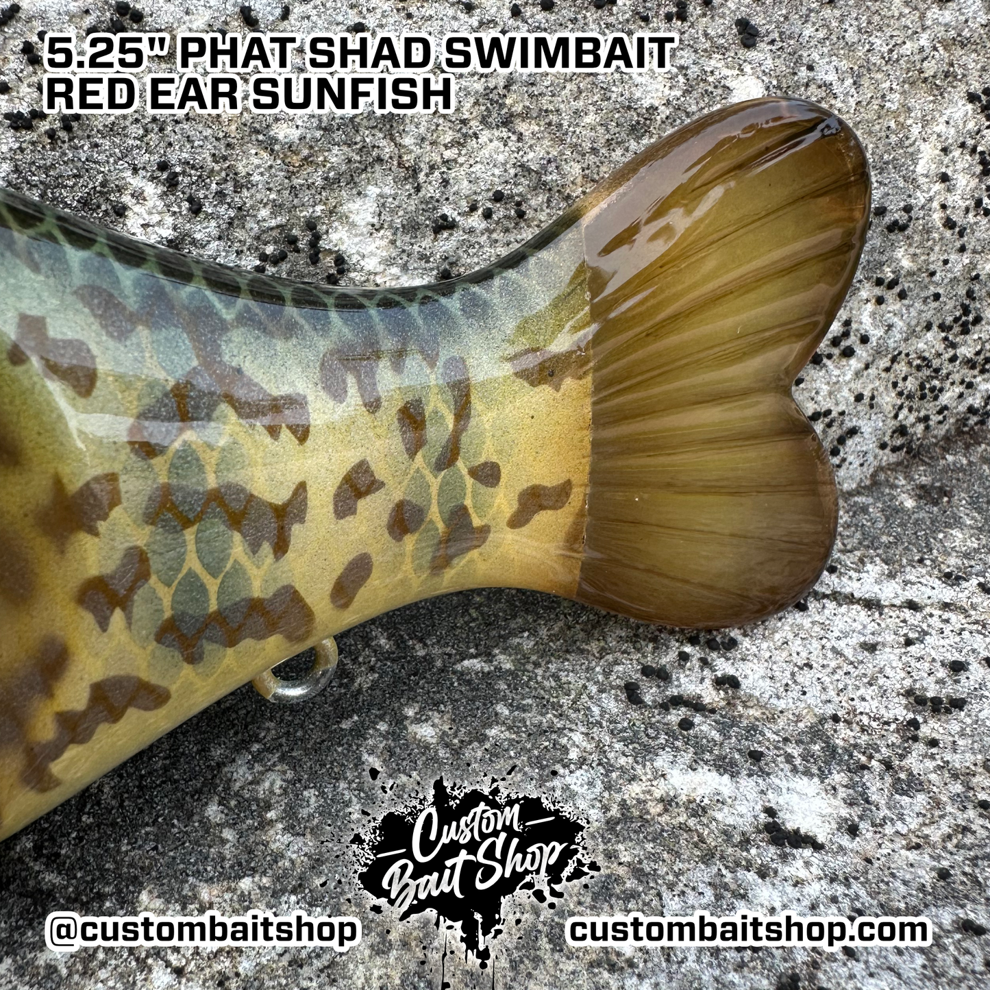 5" Phat Shad (Sale)
