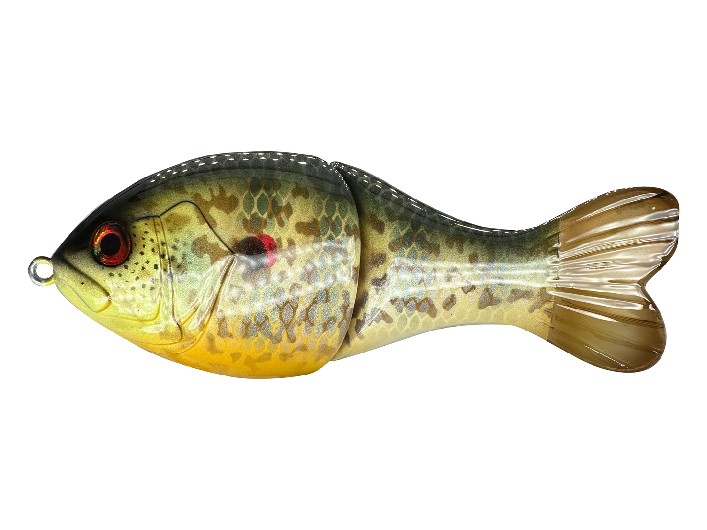 5" Phat Shad Swim Bait