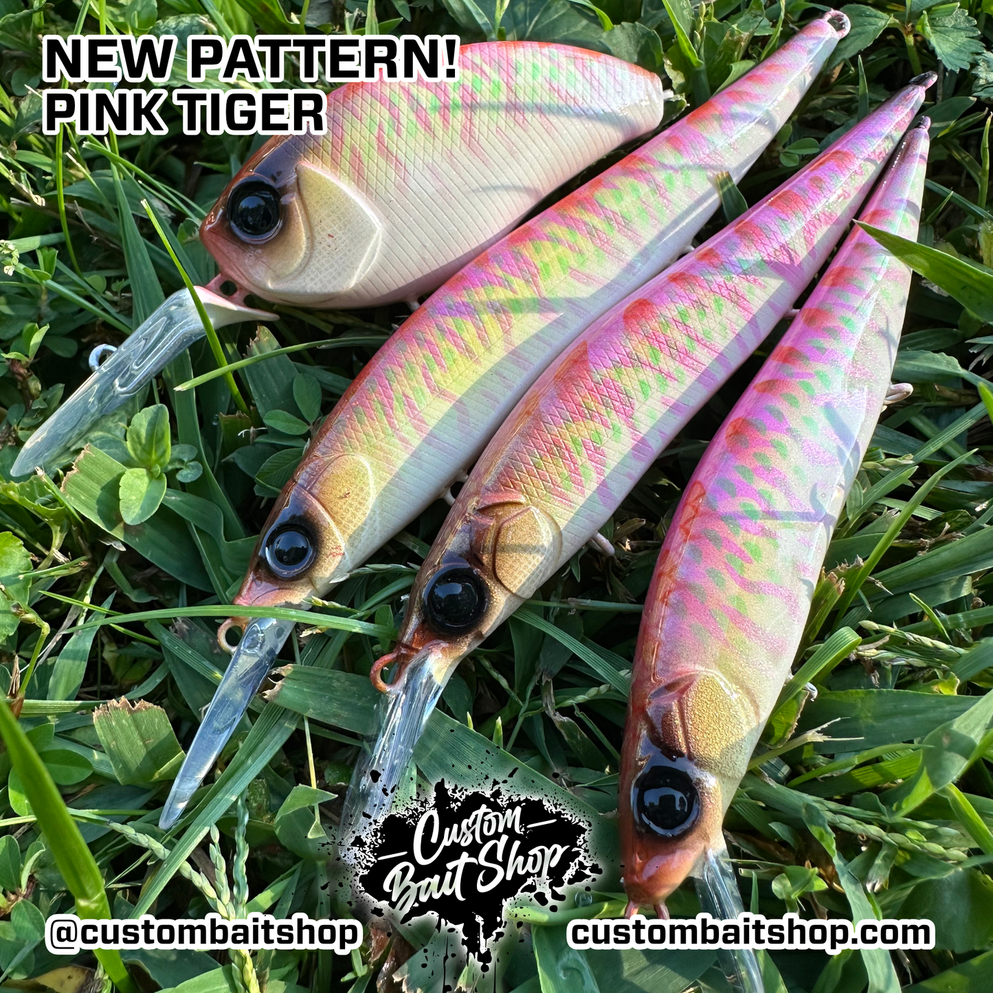 Pink Tiger - Random Sizes (Sale)