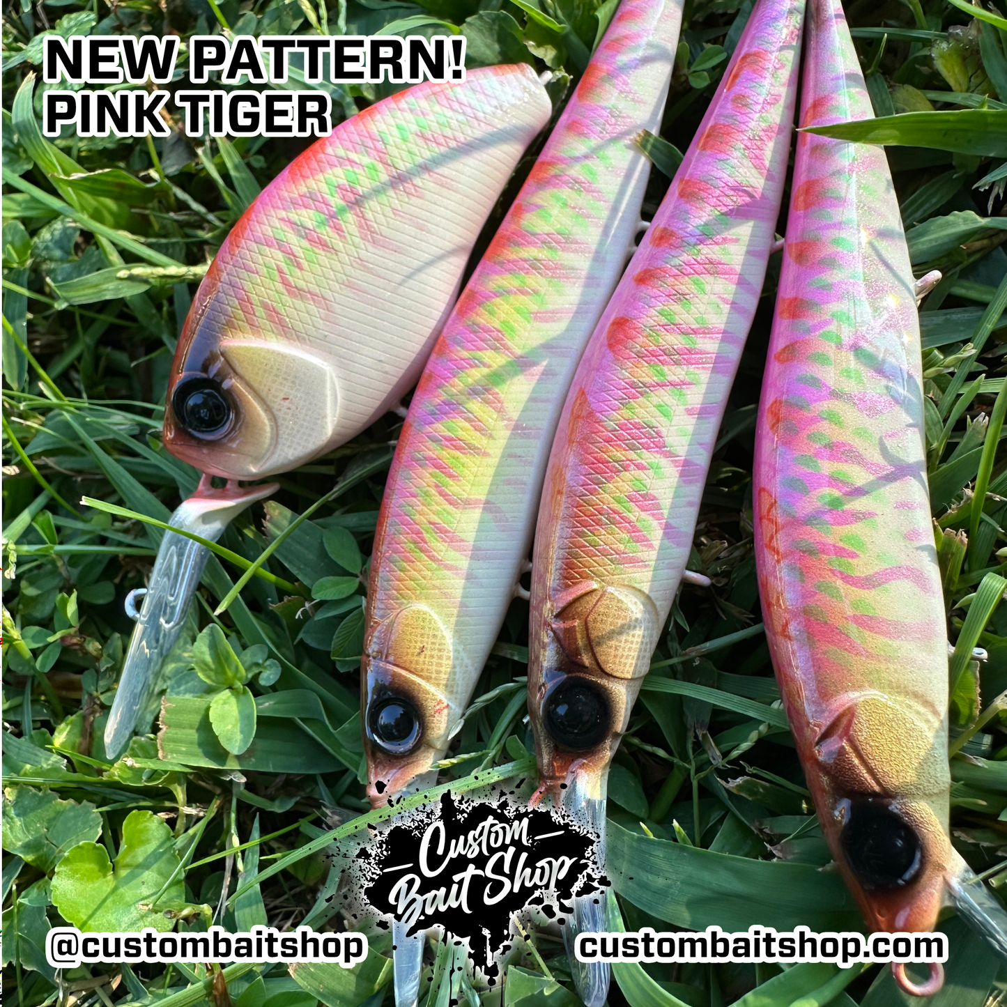 Pink Tiger - Random Sizes (Sale)