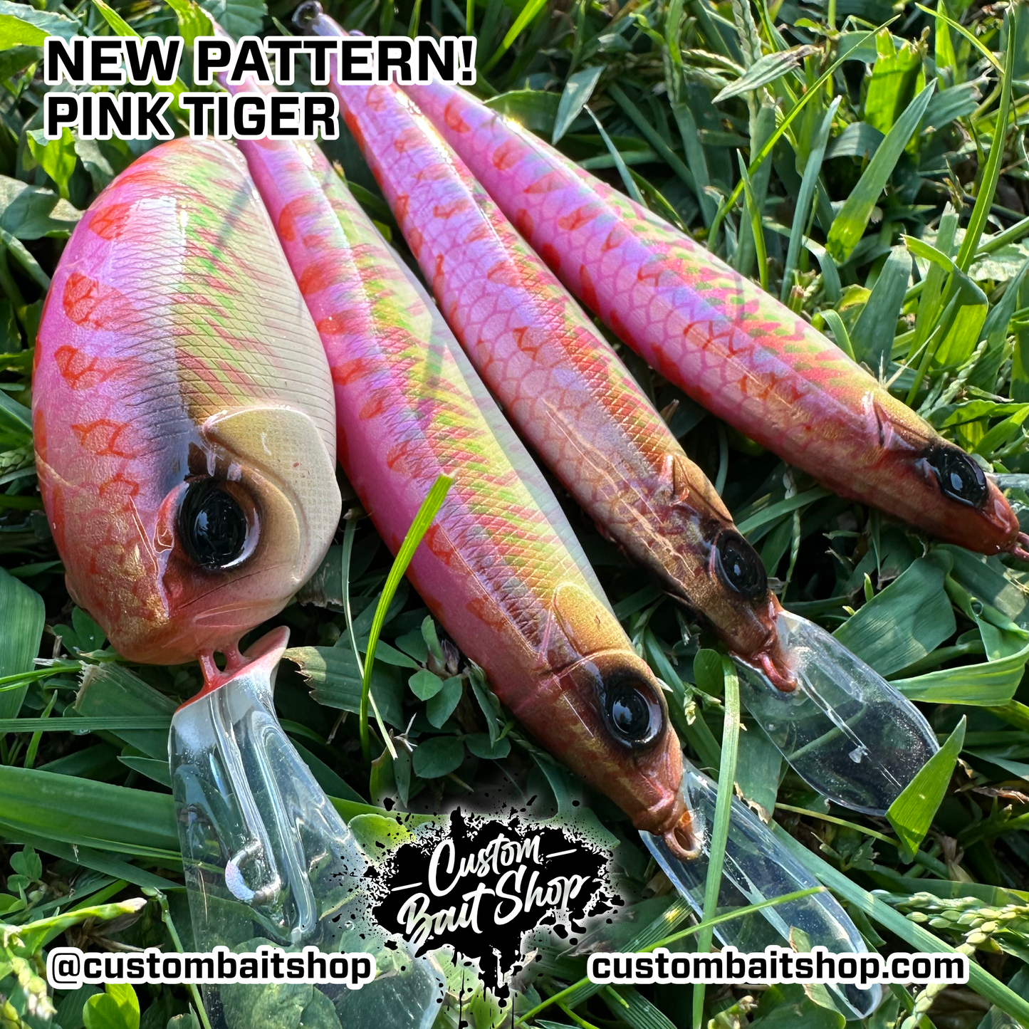 Pink Tiger - Random Sizes (Sale)