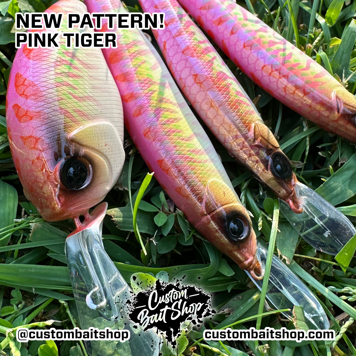 Pink Tiger - Random Sizes (Sale)