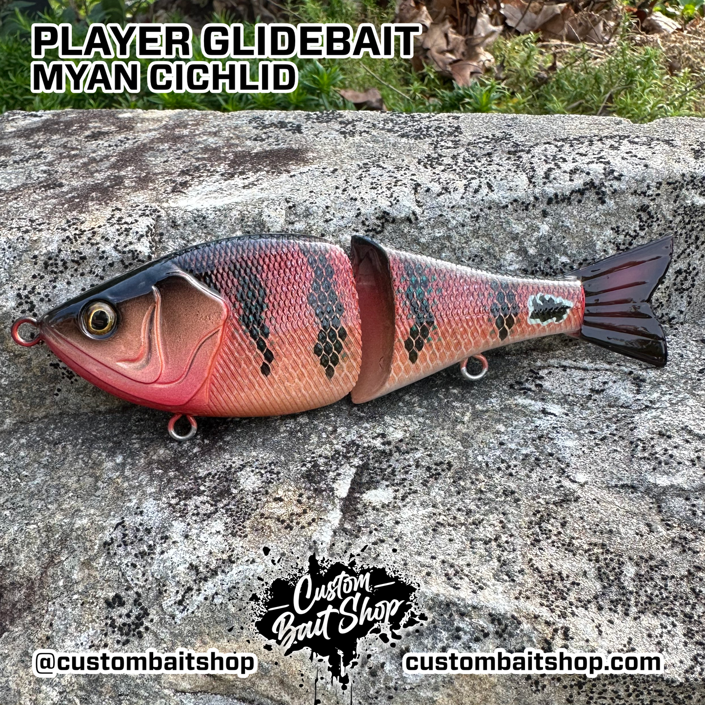 6" Player Glide Bait