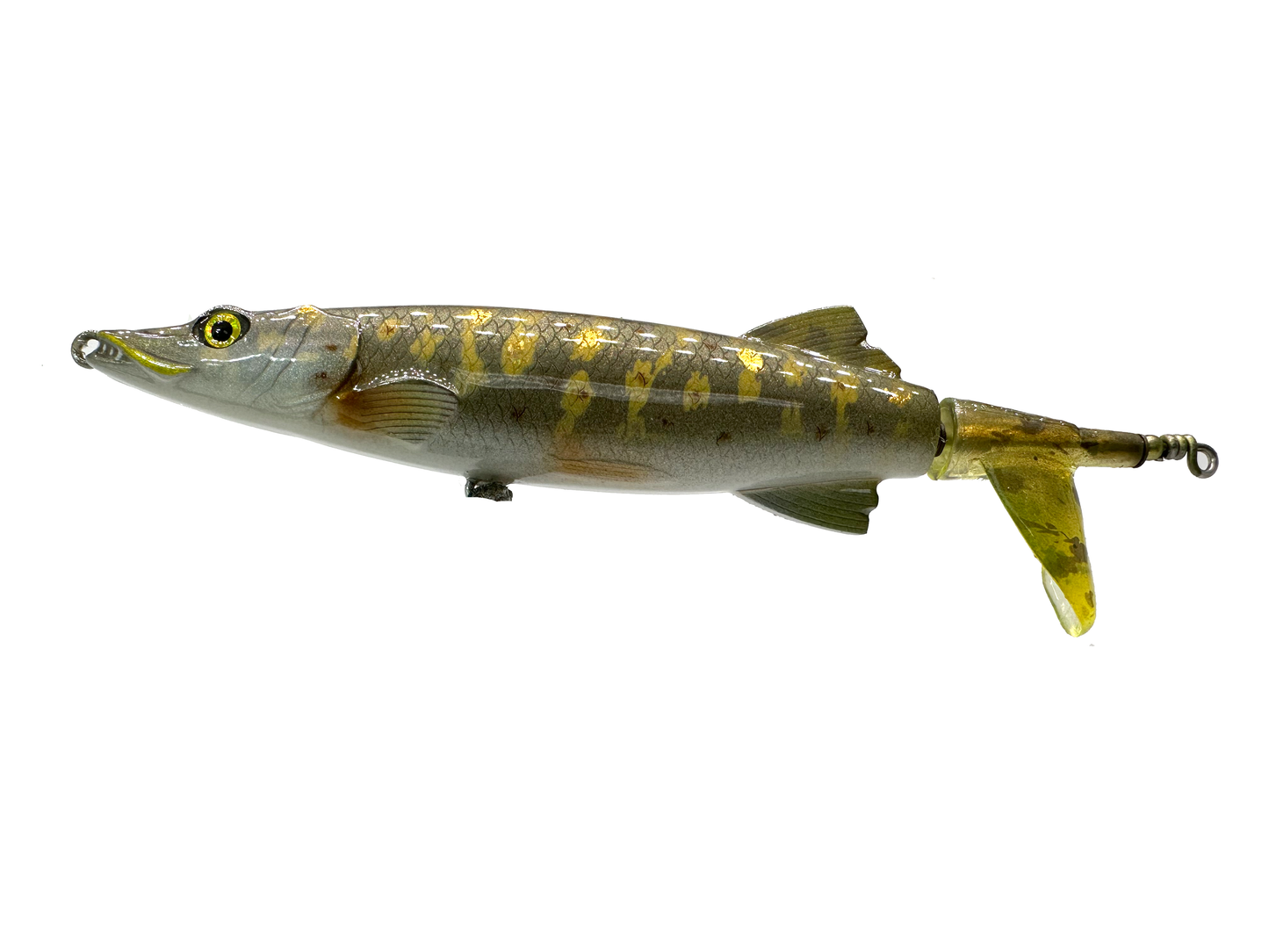 Custom 4" Gar, Pike, Muskie Plopper