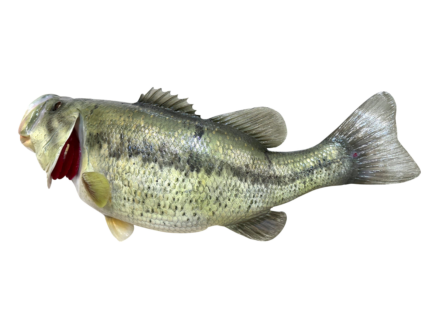 Largemouth Bass Replica (deposit)