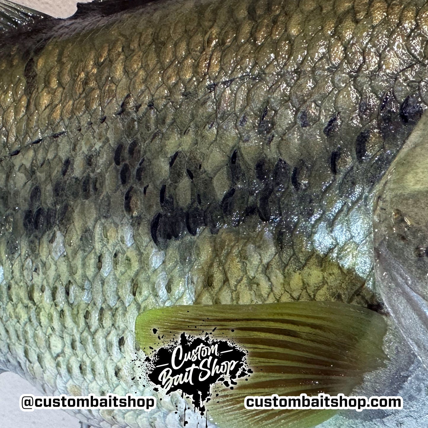 Largemouth Bass Replica (deposit)