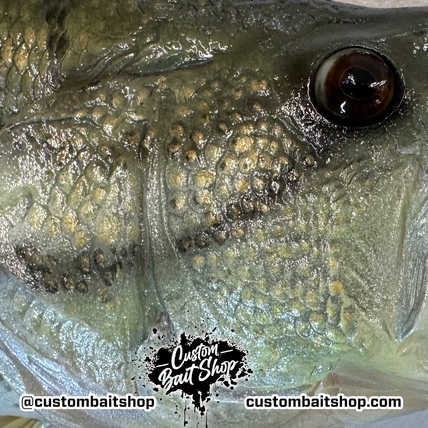 Largemouth Bass Replica (deposit)