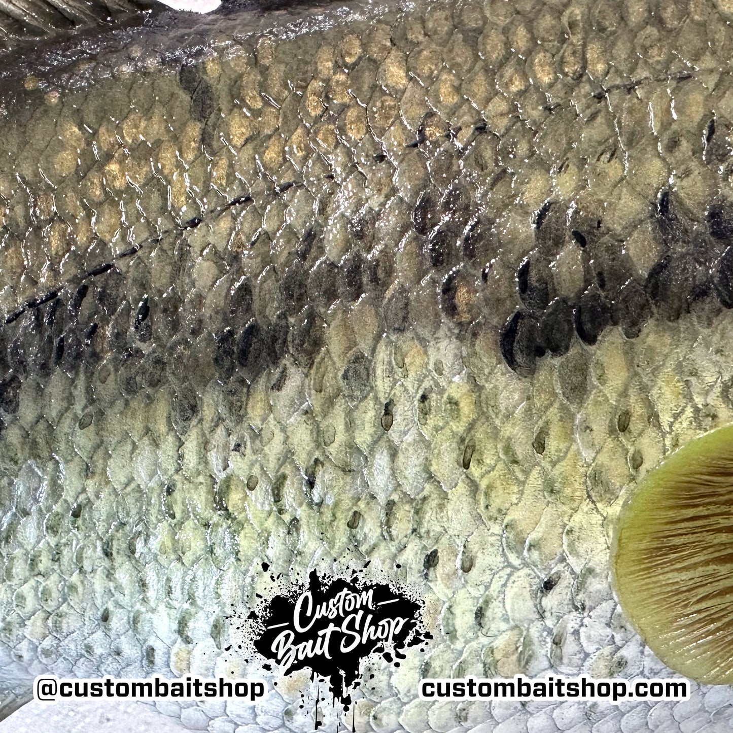 Largemouth Bass Replica (deposit)