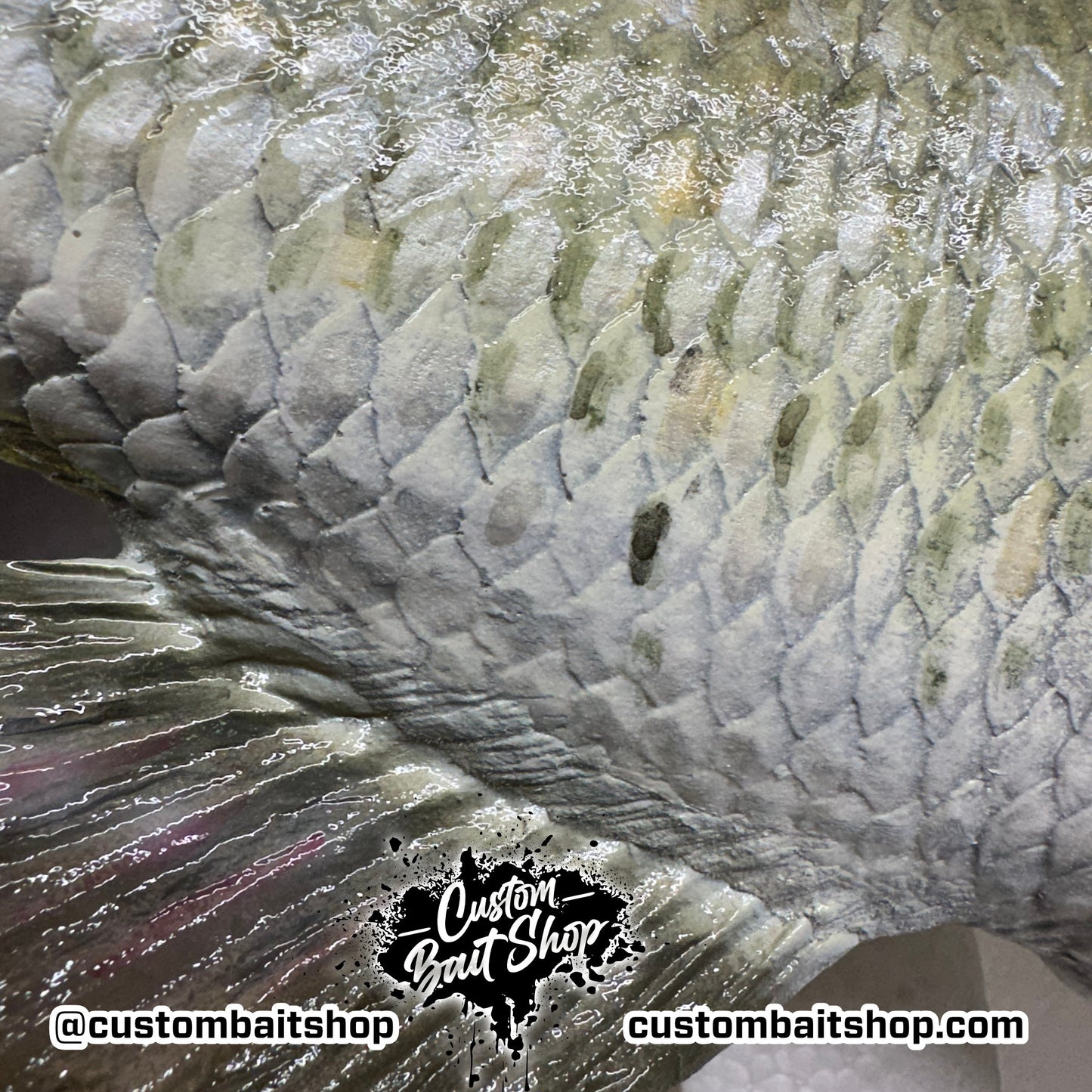 Largemouth Bass Replica (deposit)
