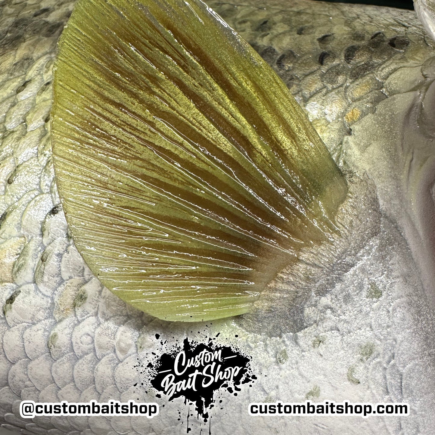 Largemouth Bass Replica (deposit)