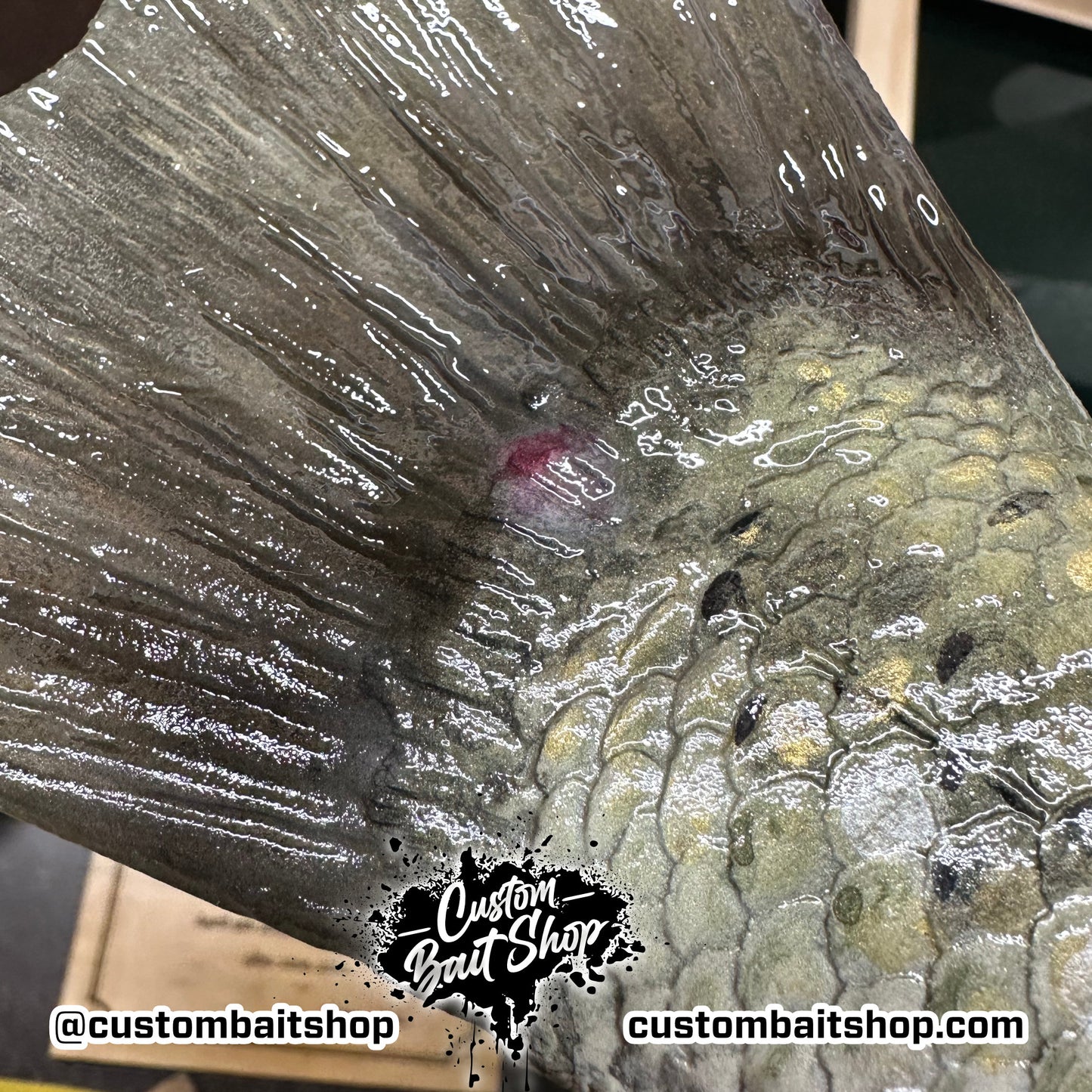 Largemouth Bass Replica (deposit)