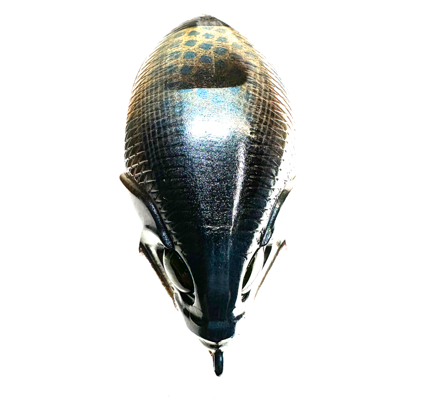 1.5 Squarebill Crankbait