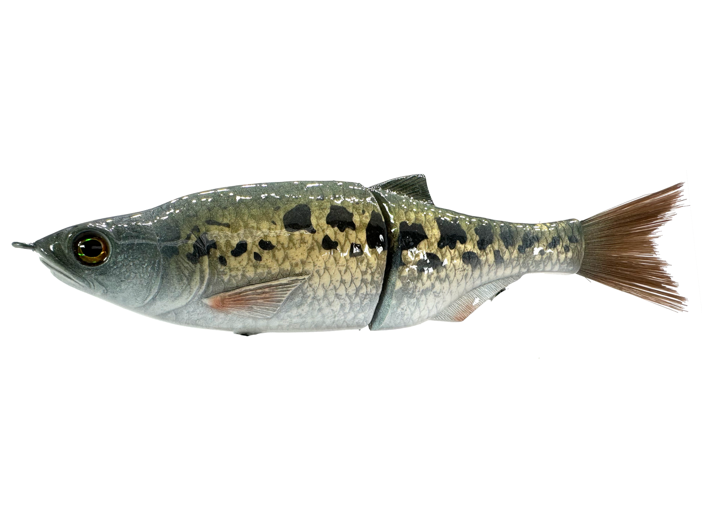 6" Slim Shady Glide Bait (Sale)