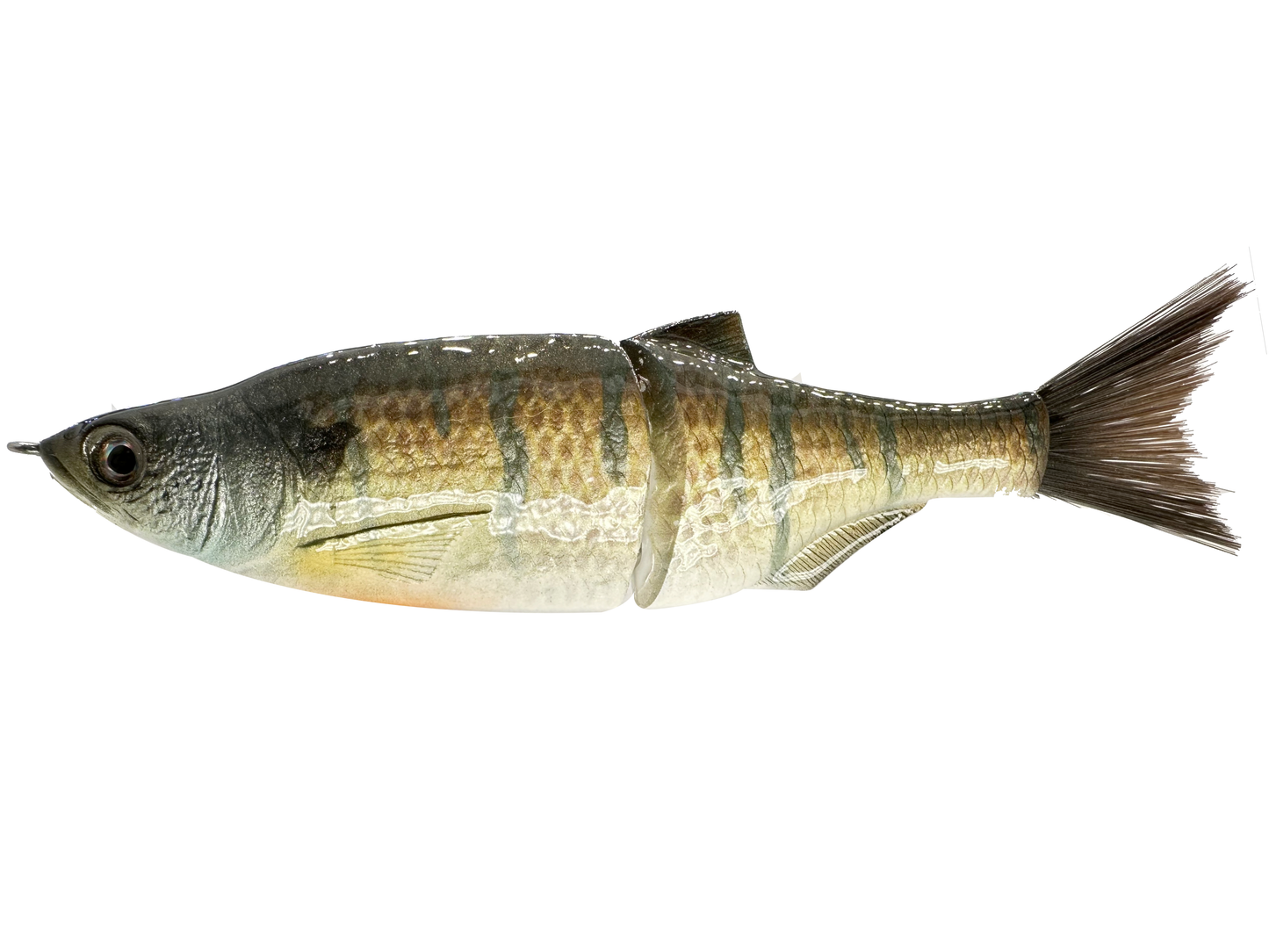 6" Slim Shady Glide Bait