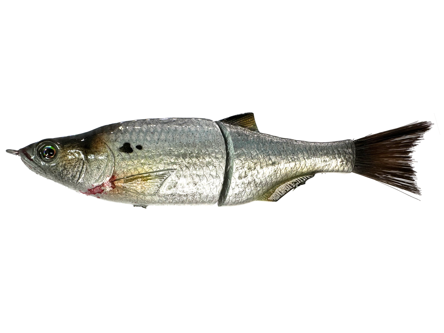 6" Slim Shady Glide Bait