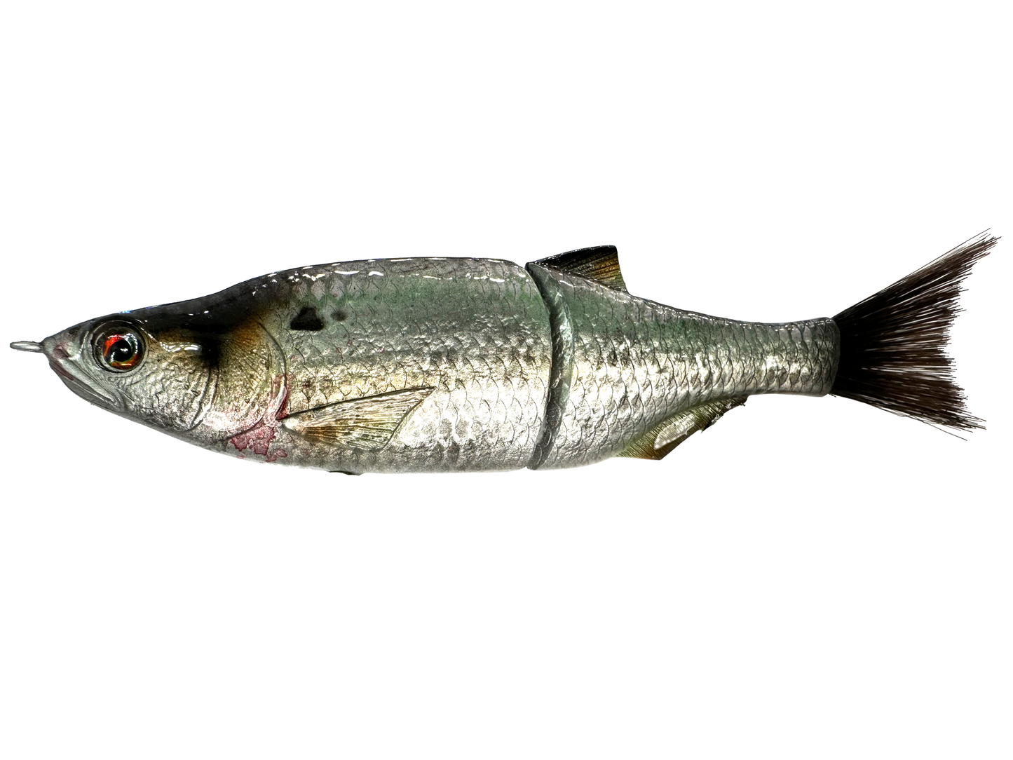 6" Shad Swim Glide Bait