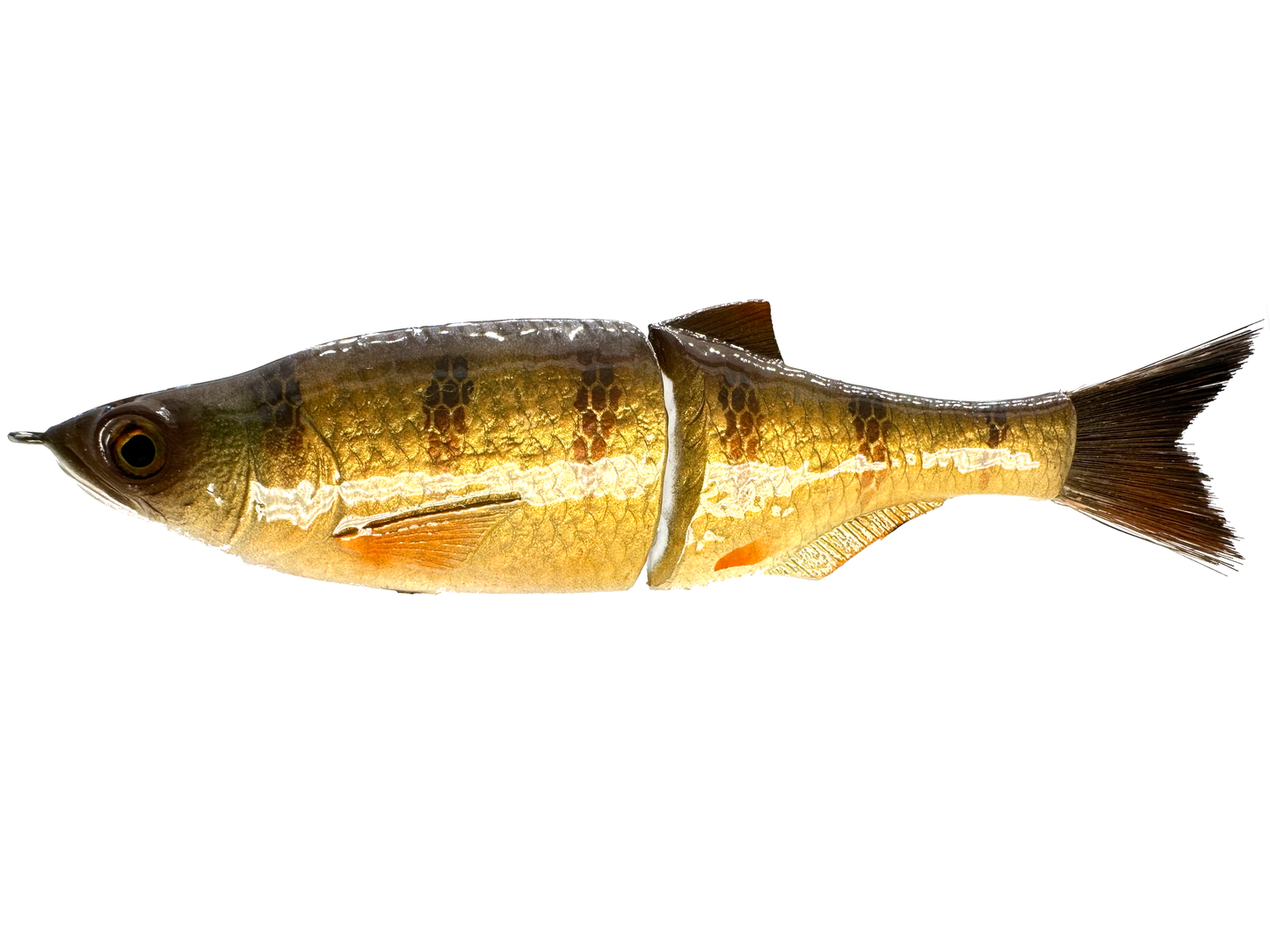 6" Slim Shady Glide Bait