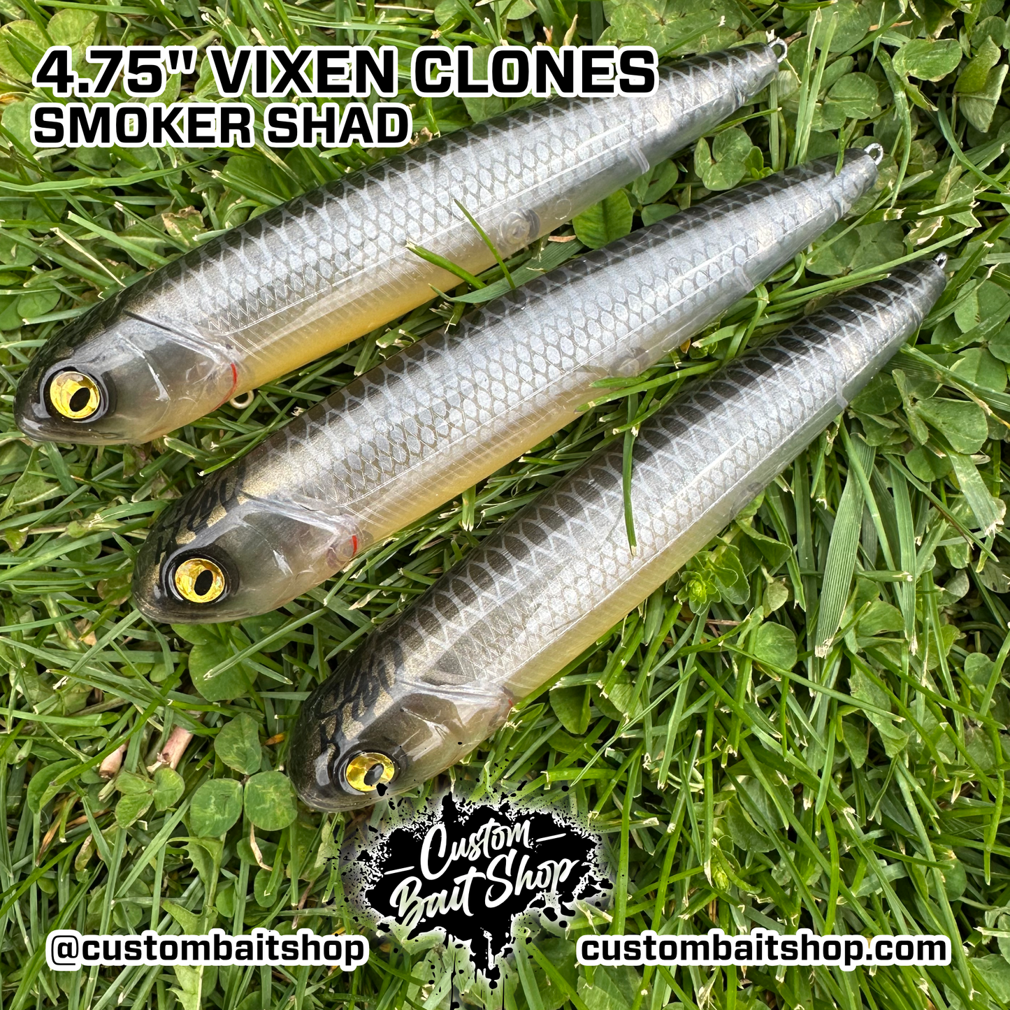 5" Vixens (Sale)