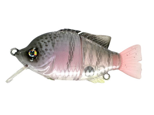 4" Blue Gill Wake Bait