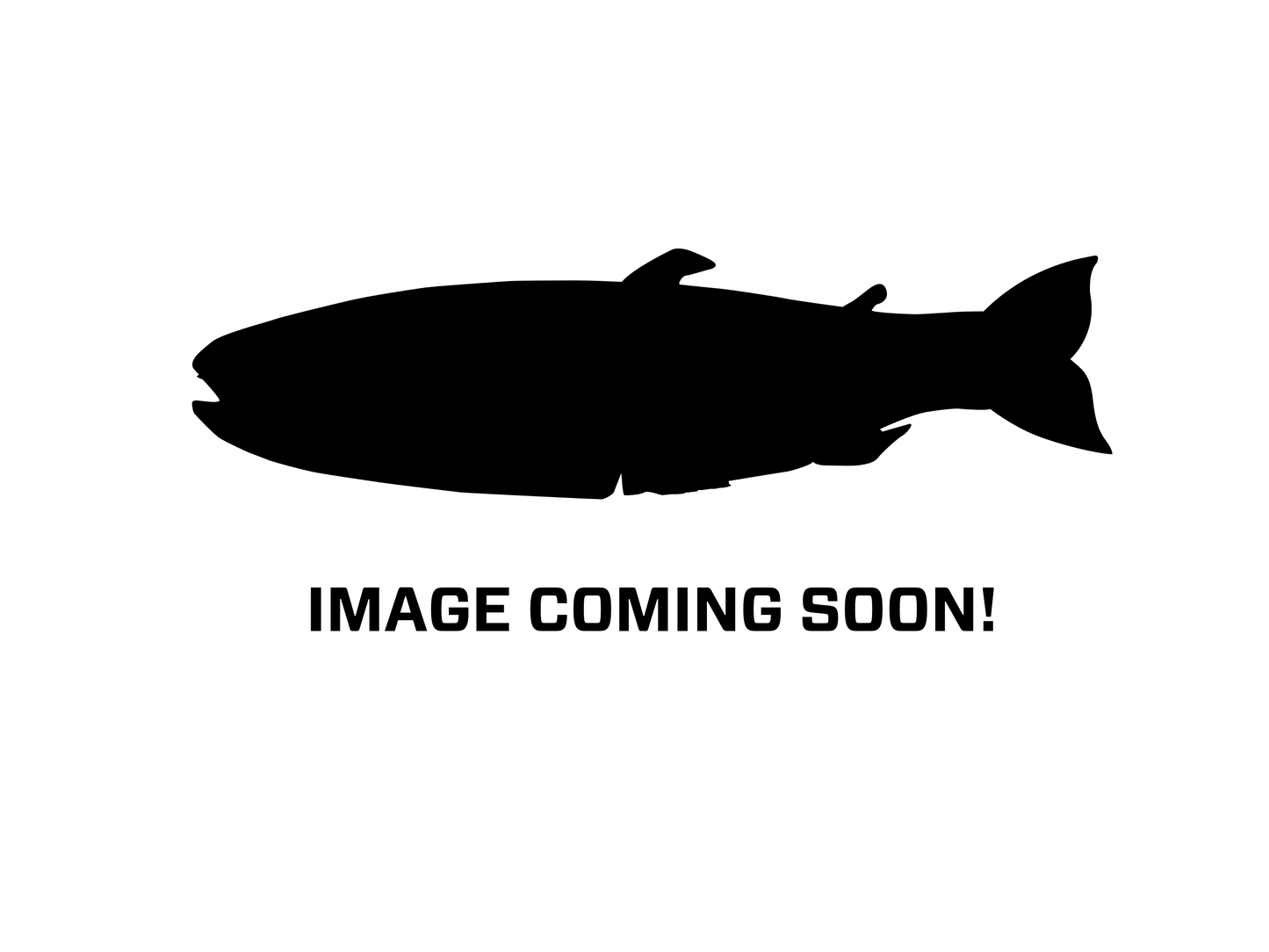 6" Slim Shady Glide Bait