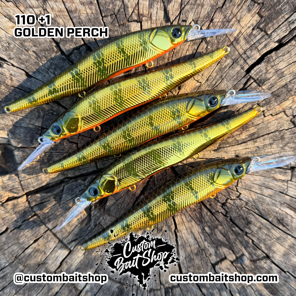 Golden Perch - Jerkbaits (Drop)