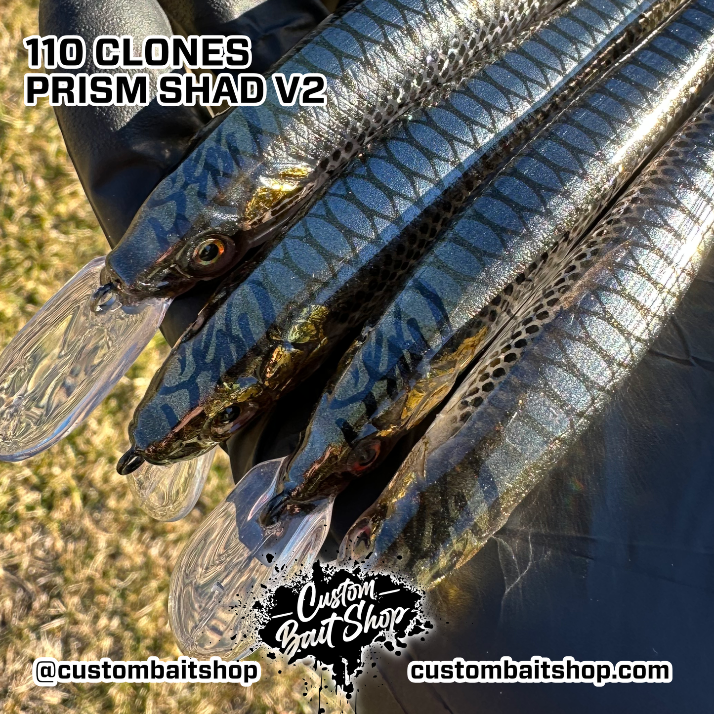 Ghost Prism Shad v2- LE Jerkbaits (Sale)