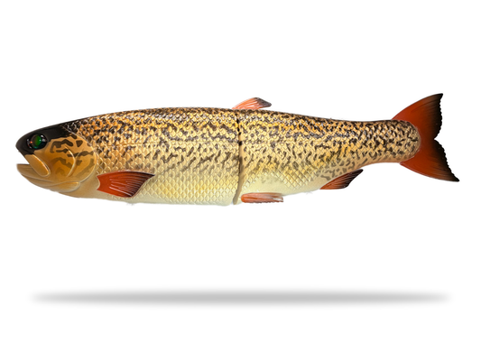 11" Trout Glide (Drop)