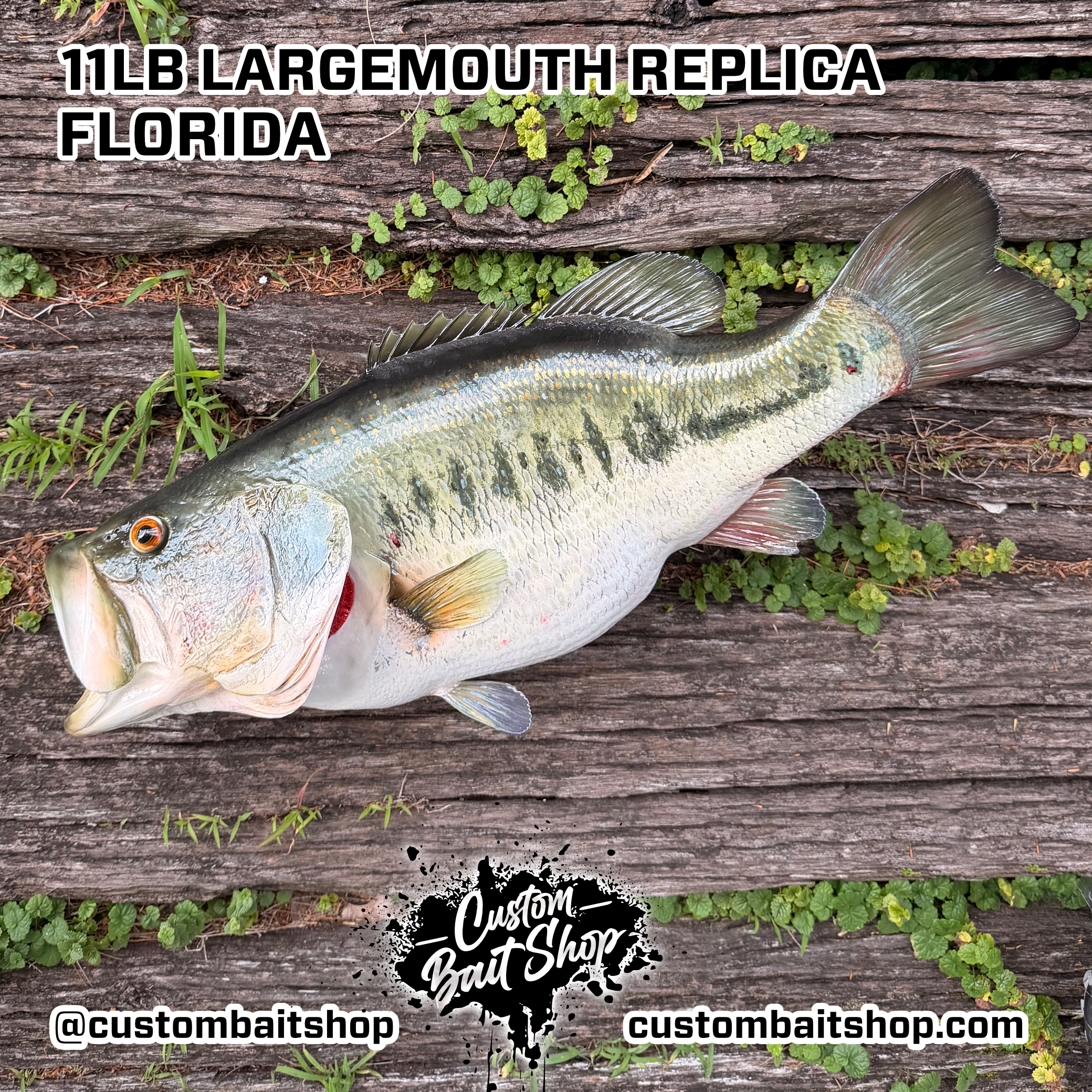 Custom Bait Shop fish replica
