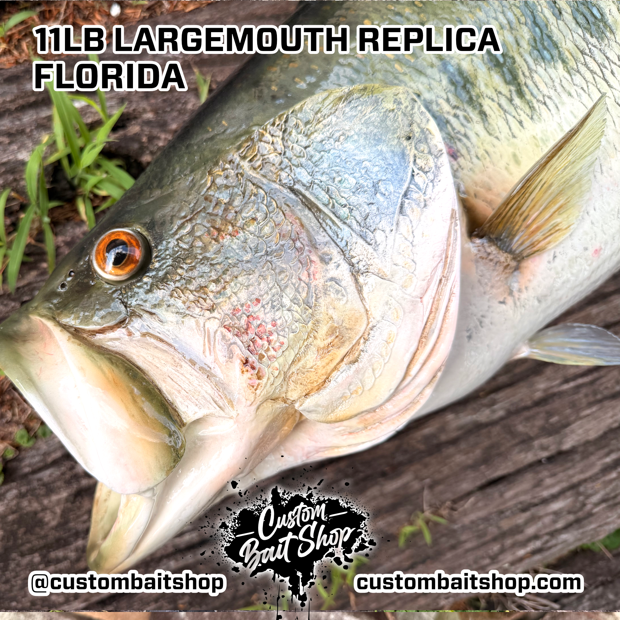 Custom Bait Shop fish replica