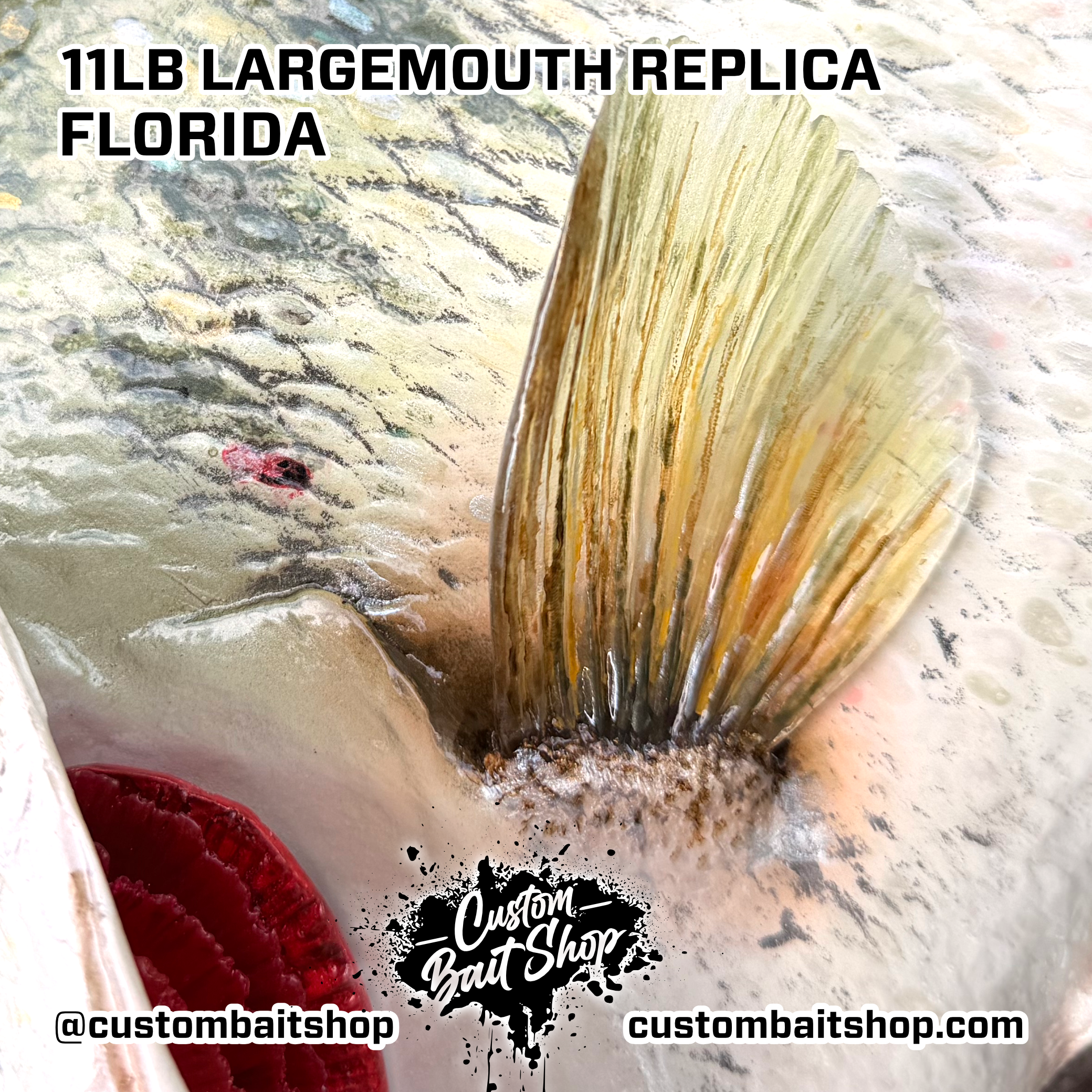 Custom Bait Shop fish replica