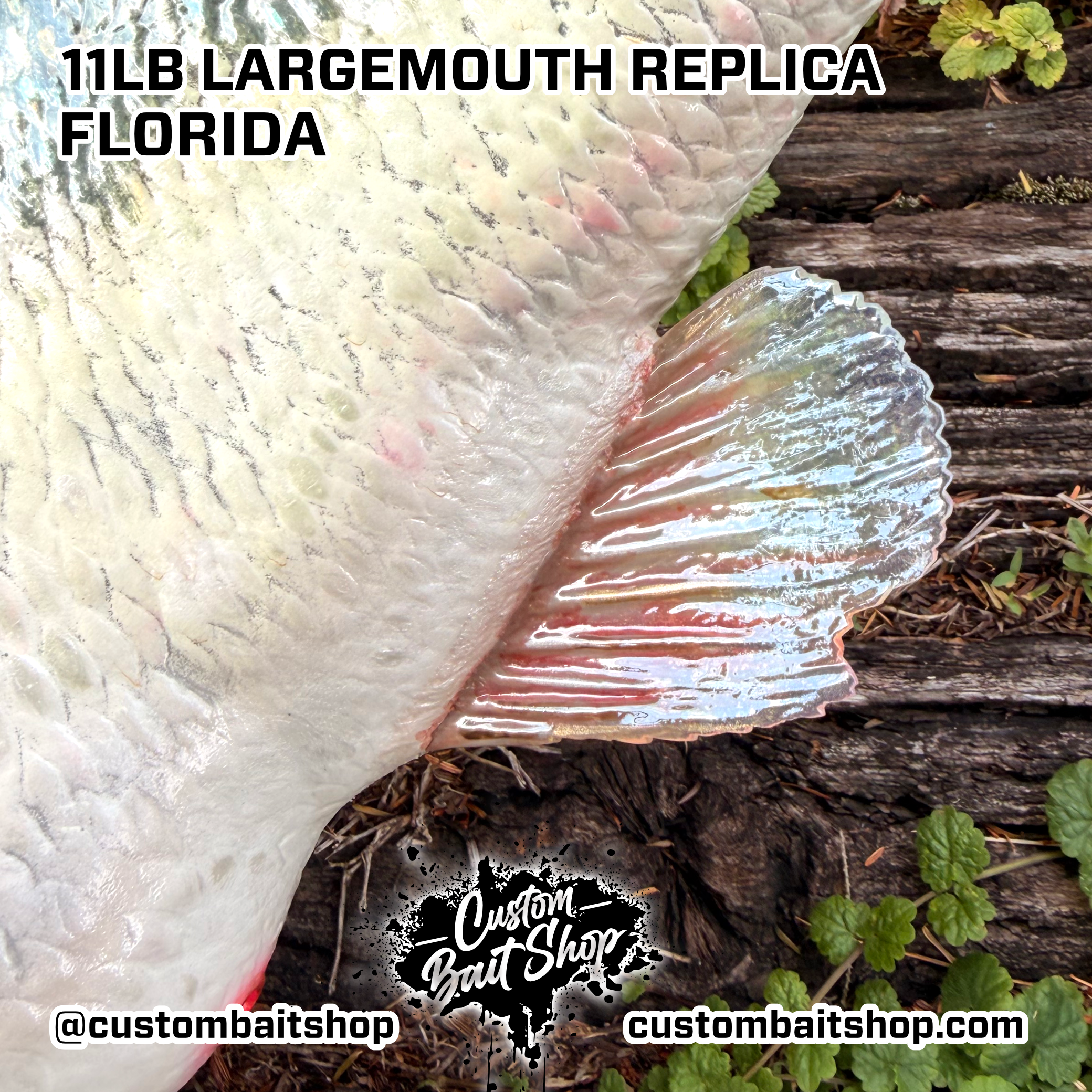 Custom Bait Shop fish replica
