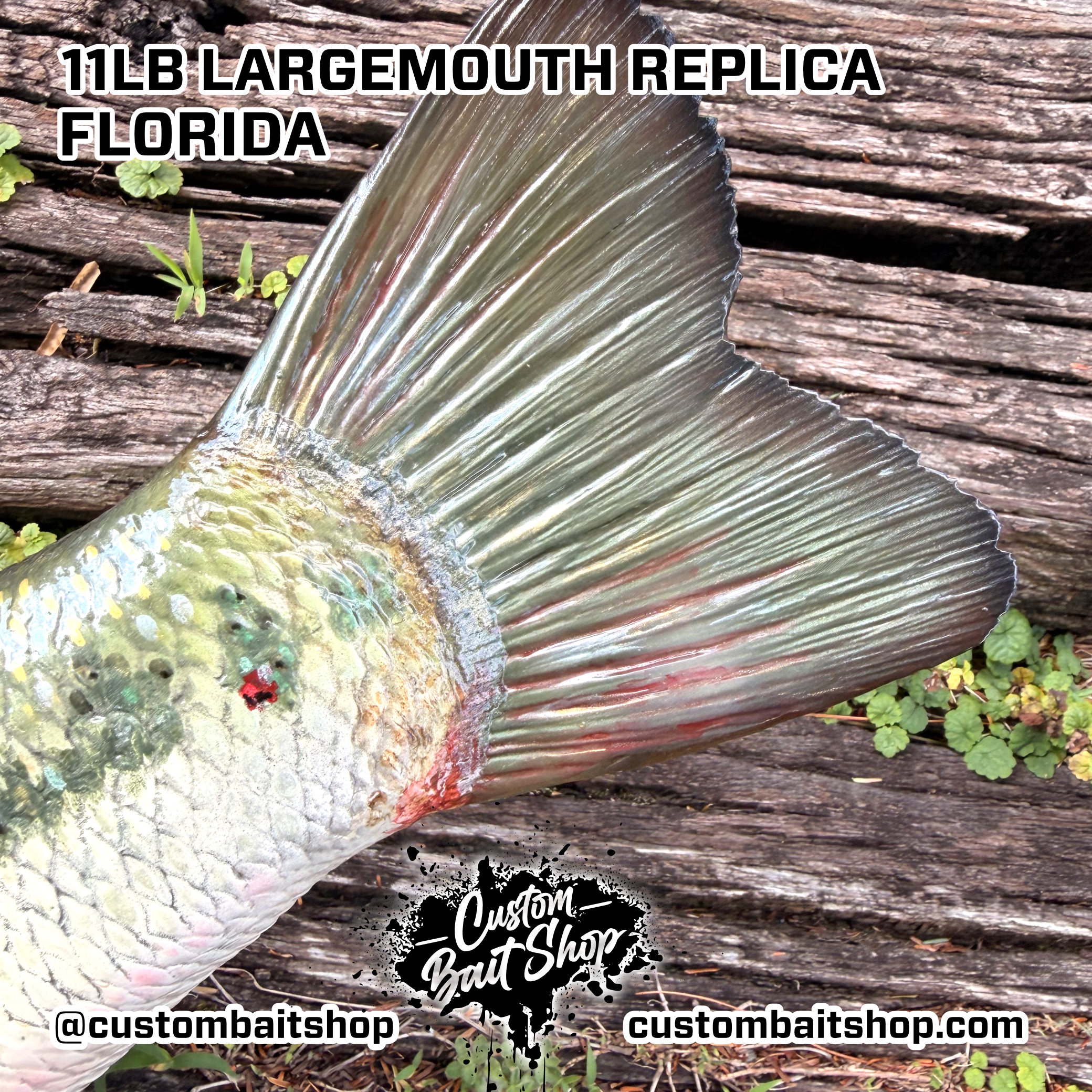 Custom Bait Shop fish replica
