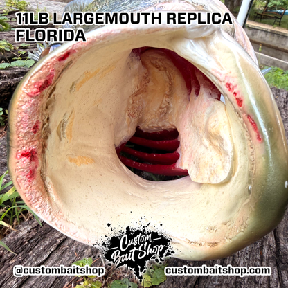 Largemouth Bass Replica (deposit)