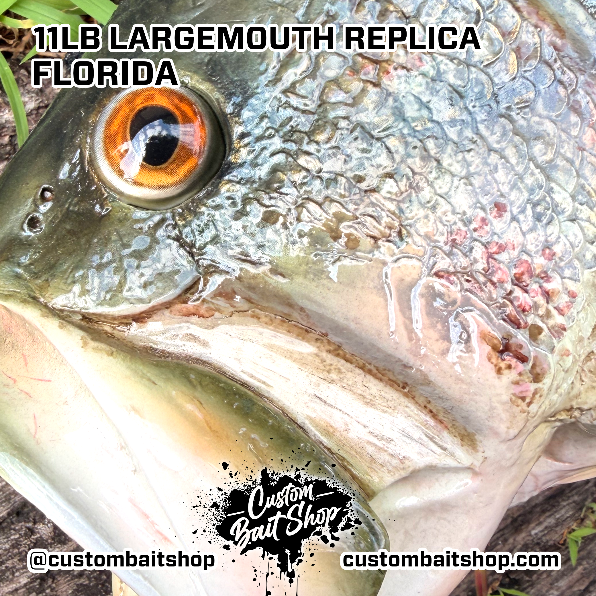 Custom Bait Shop fish replica