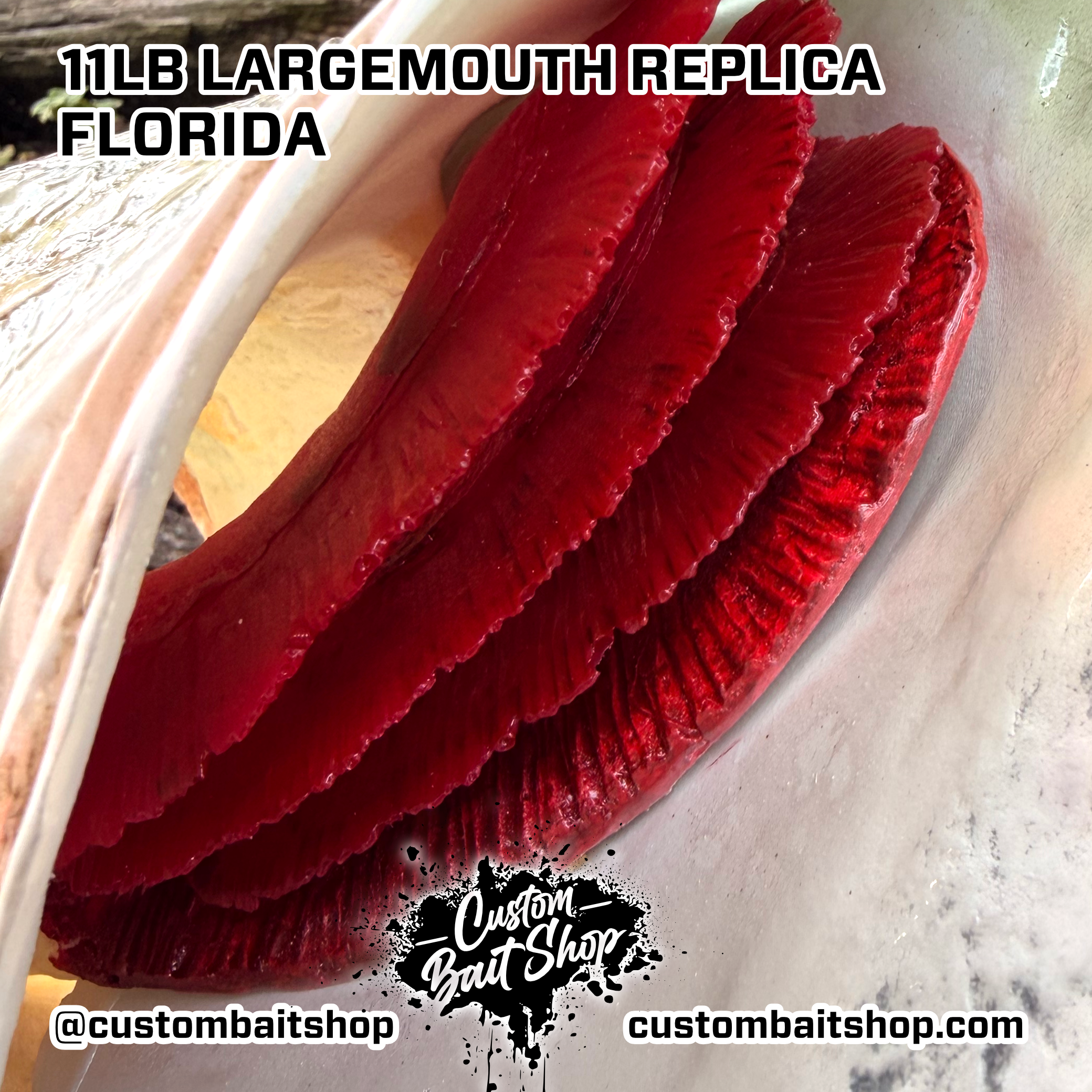 Custom Bait Shop fish replica