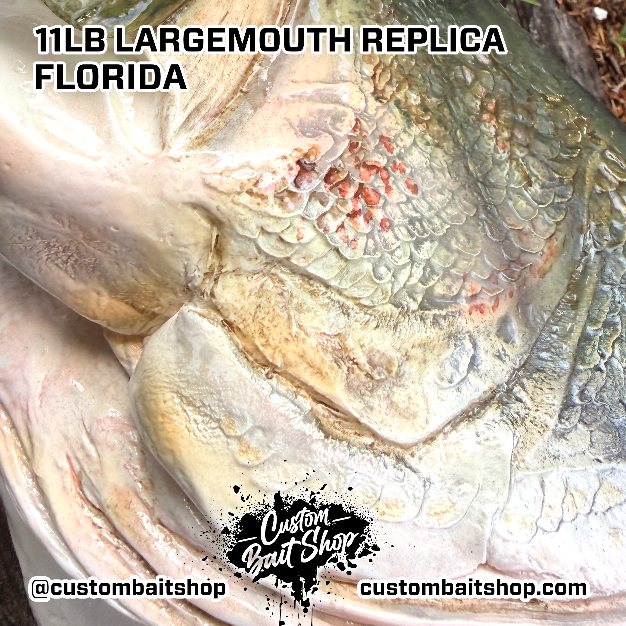 Custom Bait Shop fish replica