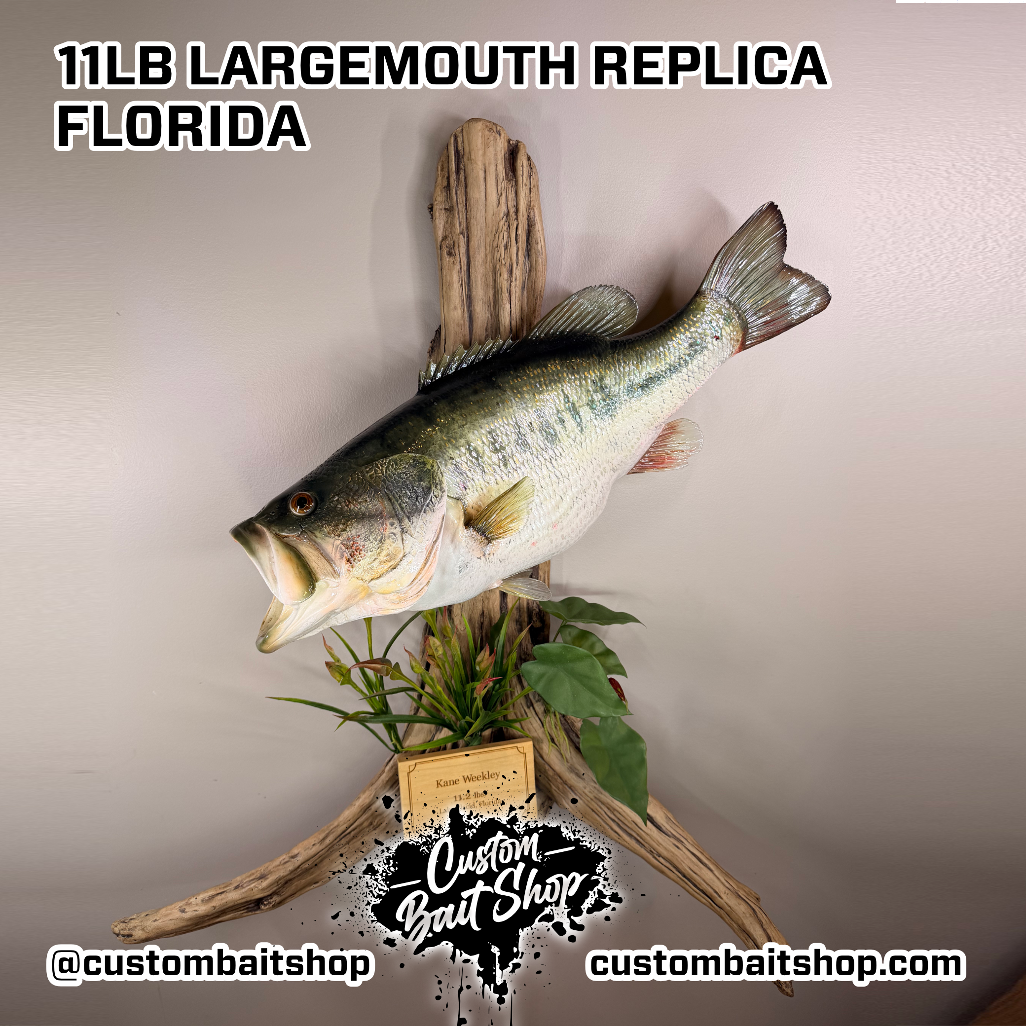 Custom Bait Shop fish replica