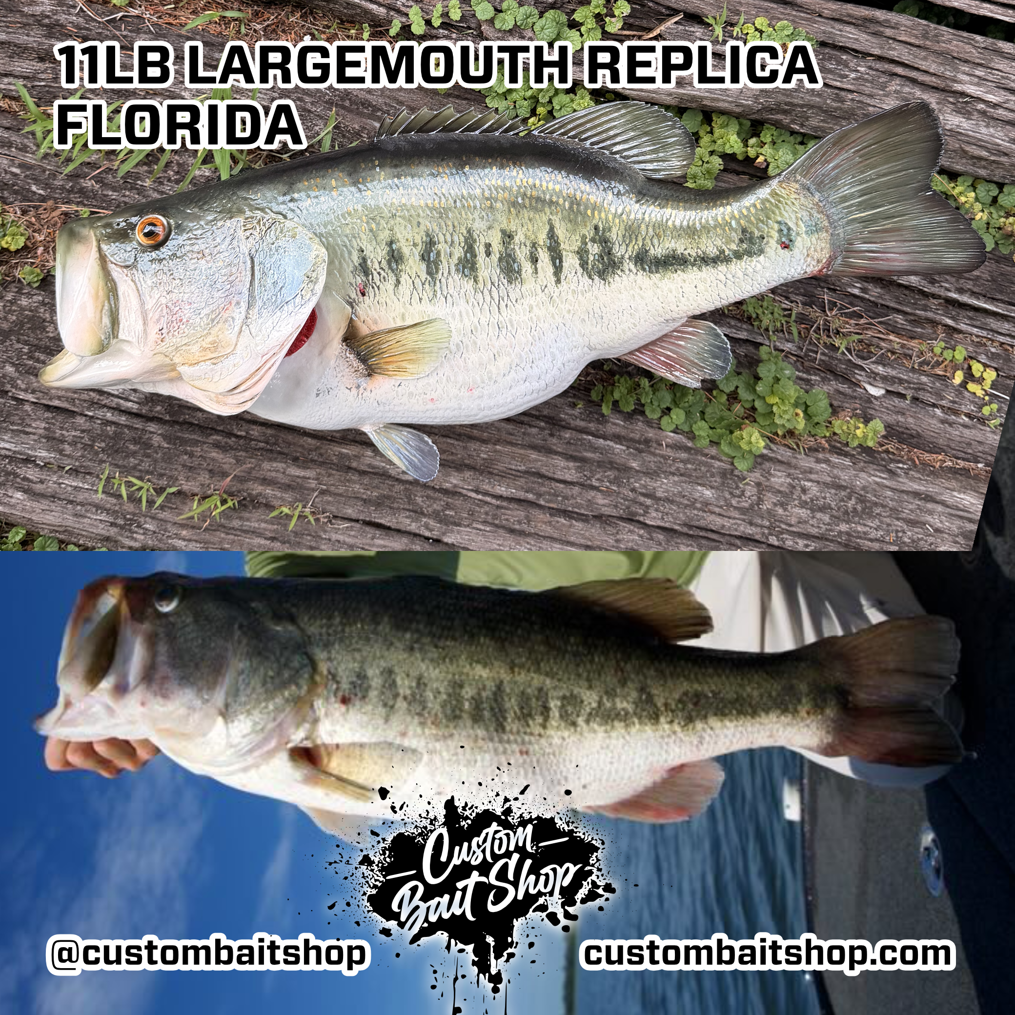 Custom Bait Shop fish replica