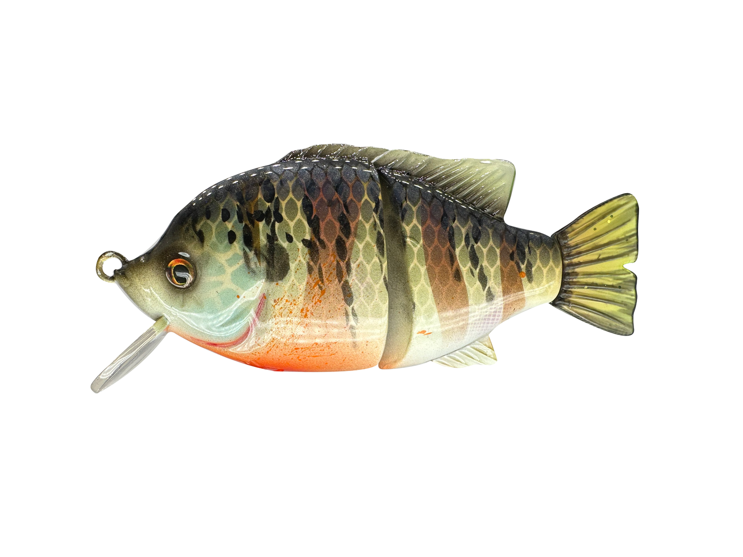 4" Blue Gill Wake Bait
