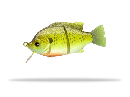 4" Blue Gill Wake Bait (Drop)
