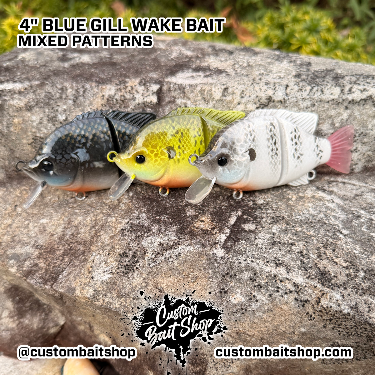 4" Blue Gill Wake Bait (Drop)