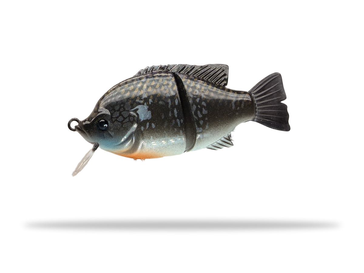 4" Blue Gill Wake Bait (Drop)