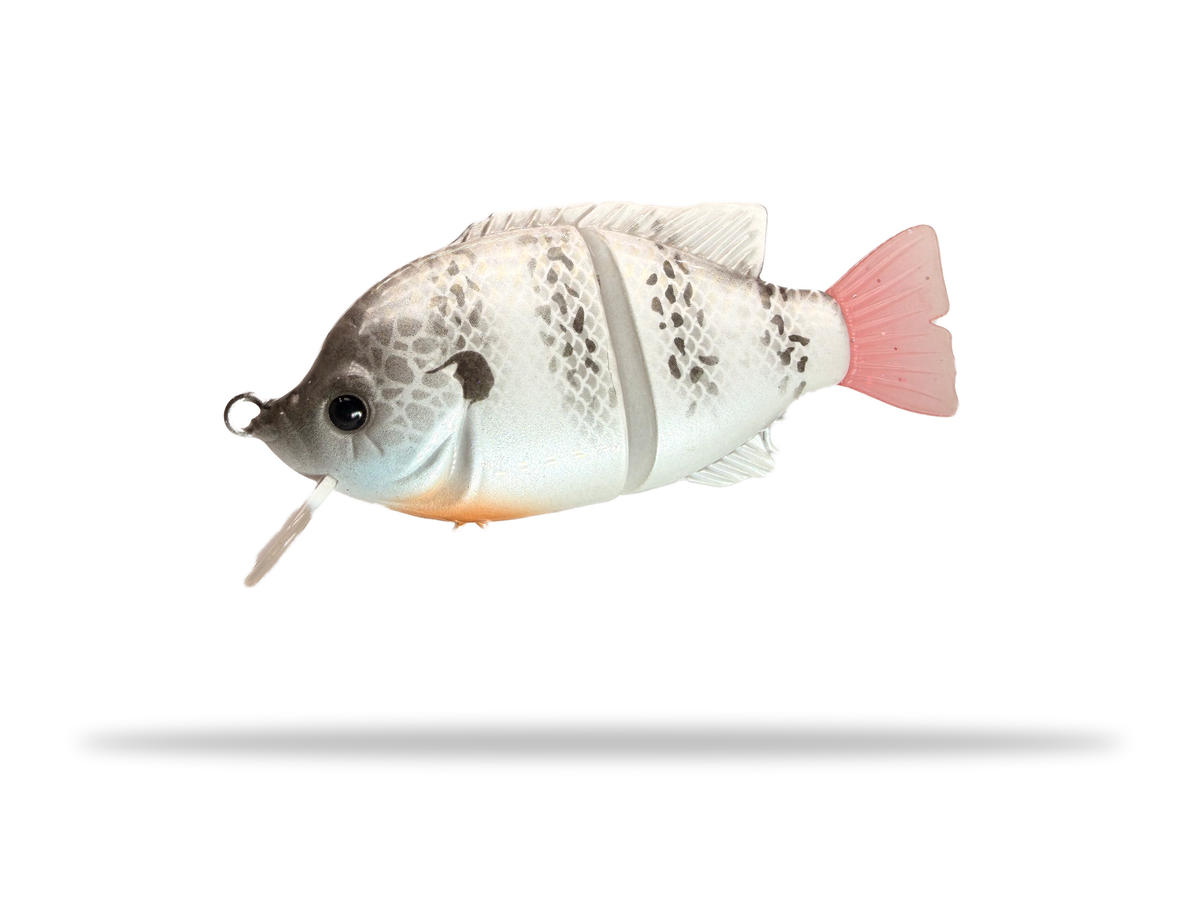 4" Blue Gill Wake Bait (Drop)