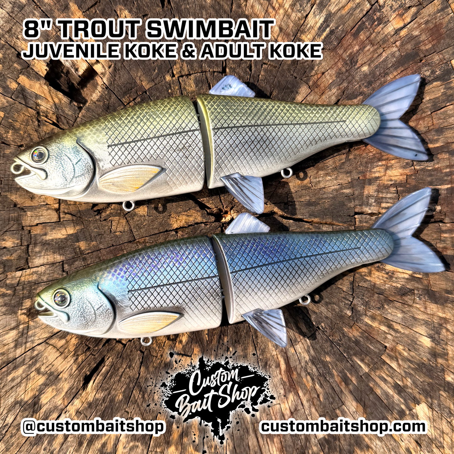 8" Trout Style Swim Bait (Sale)