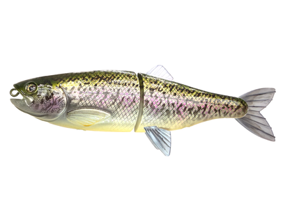 8" Trout Style Swim Bait (Sale)