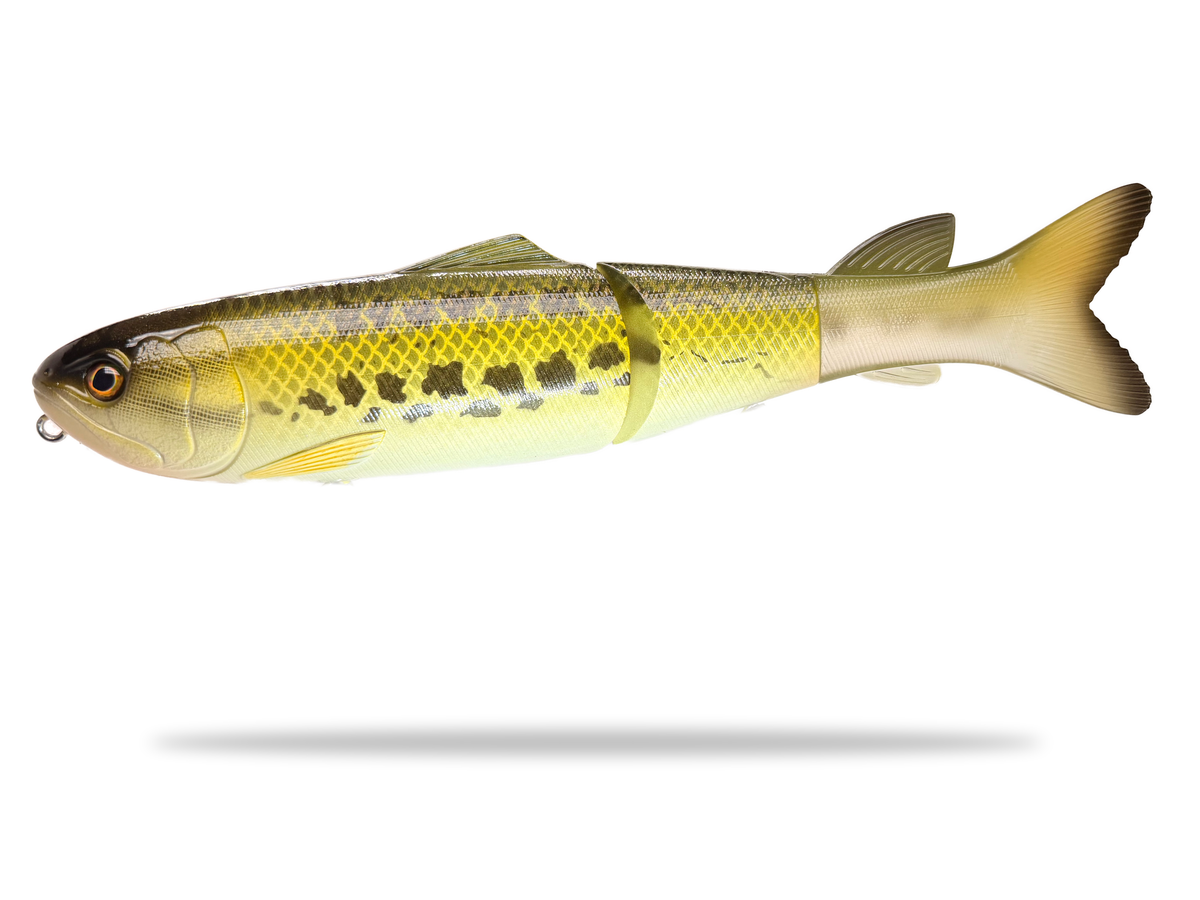 9" Soft Tail Swimbait (Drop)