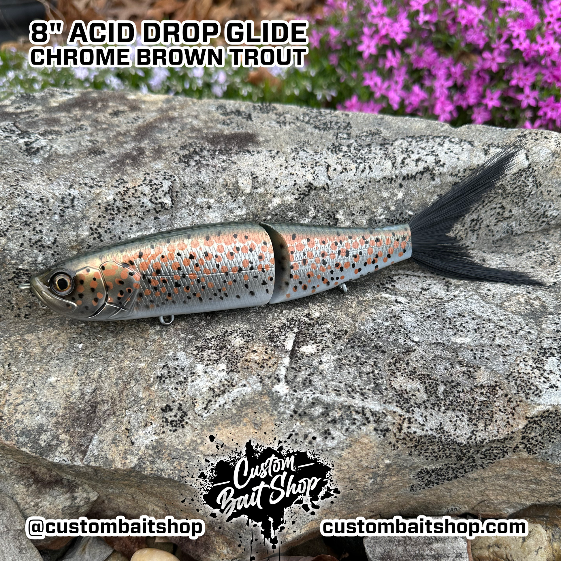 8" Acid Drop - Glide Bait Chrome Brown Trout / Holographic Foil (+25) 8" Acid Drop - Glide Bait Chrome Brown Trout / Holographic Foil (+25)