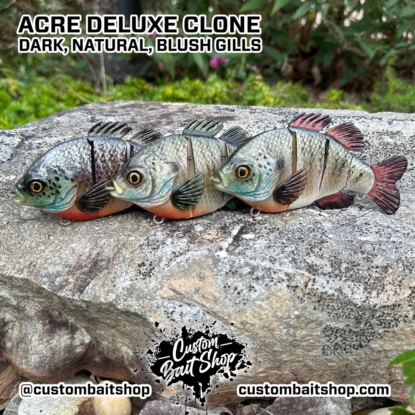 5" Acre Deluxe Swim Bait Clone