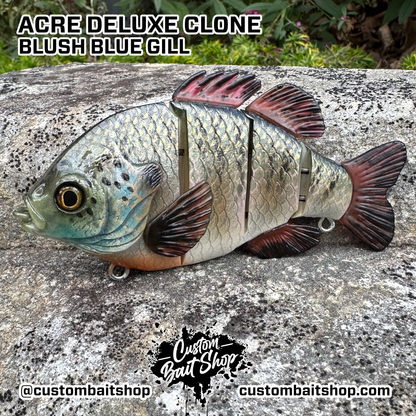 5" Acre Deluxe Swim Bait Clone