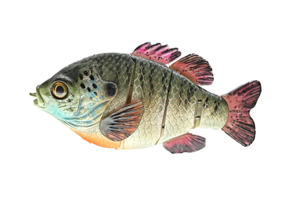 5" Acre Deluxe Swim Bait Clone